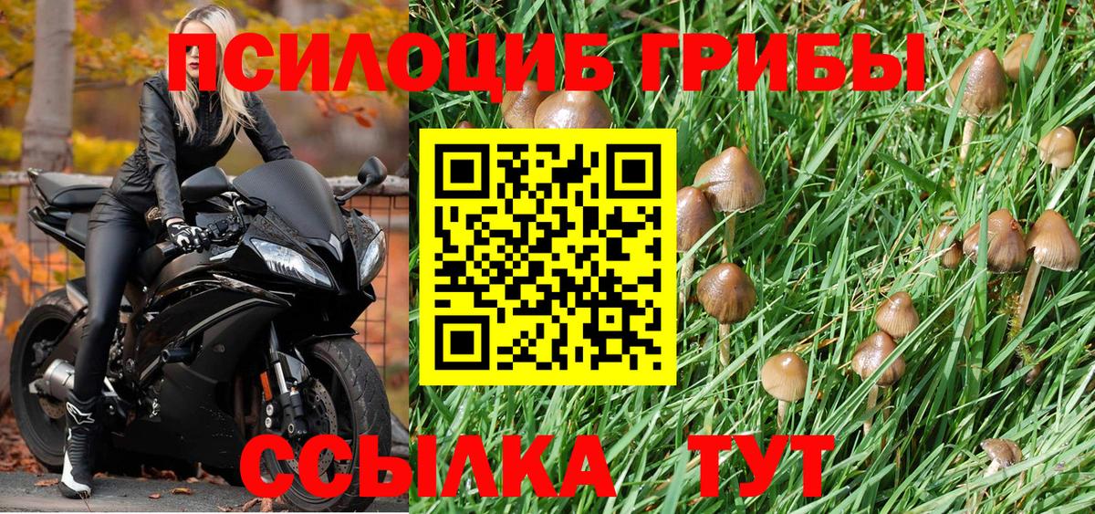 Галлюциногенные грибы прущие грибы  Вход с VPN  Карпинск  Псилоцибиновые грибы MAGIC MUSHROOMS 
