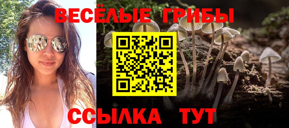 Псилоцибиновые грибы Cubensis Карпинск
